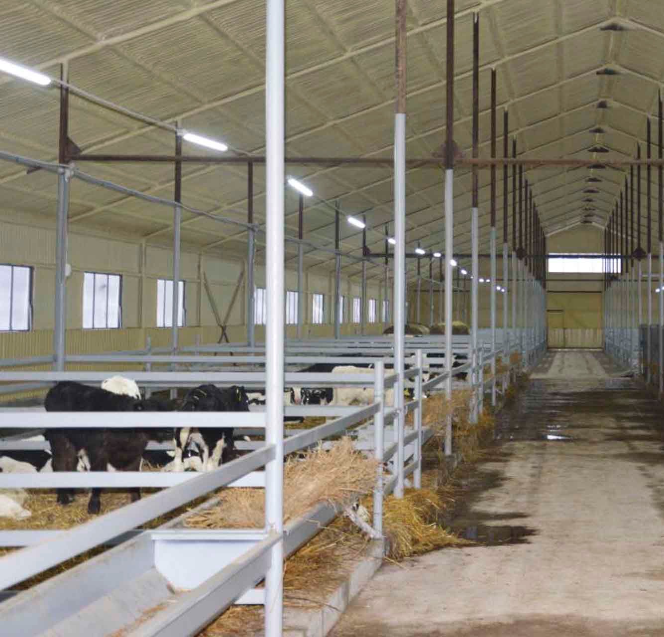 В&nbsp;Алнашском районе Удмуртии открыли новый телятник-профилакторий