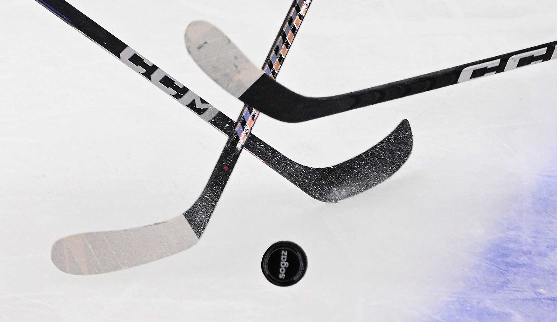 В Петербурге прошел хоккейный «Матч белых журавлей»