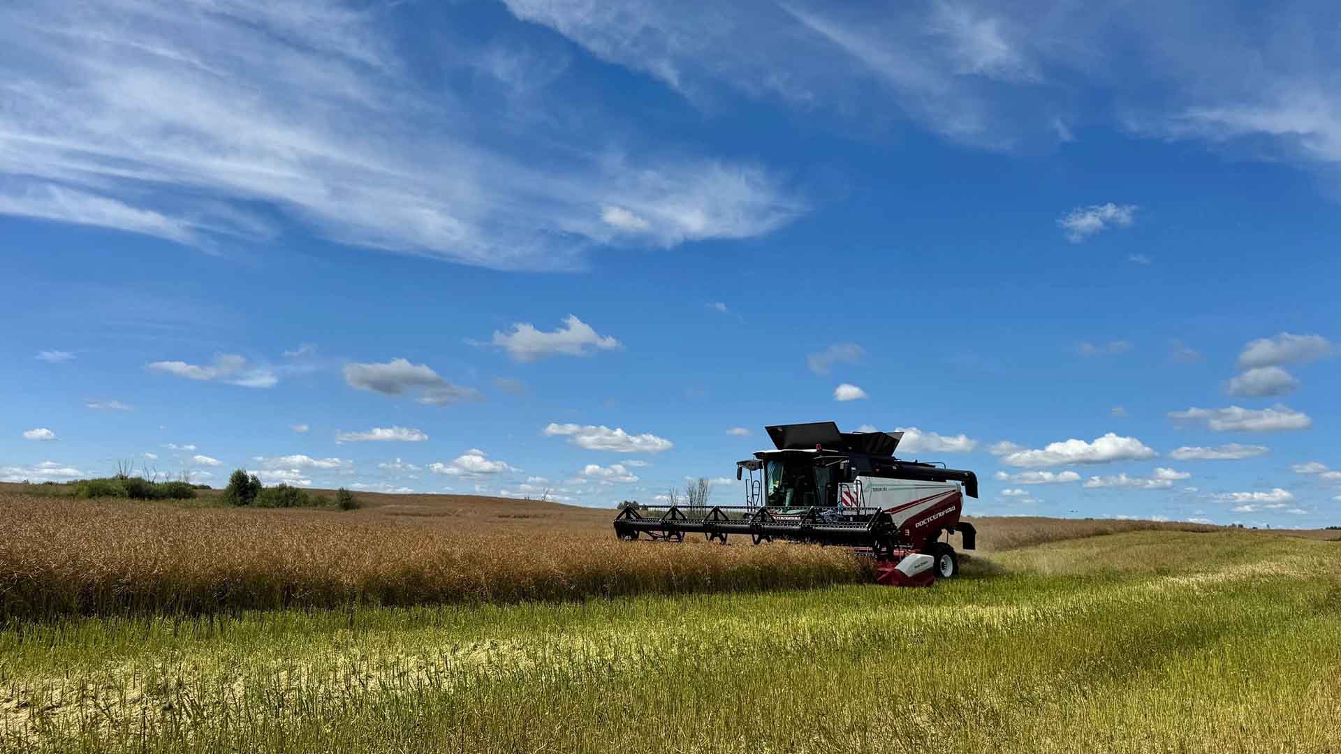 В&nbsp;Смоленской области собрали 9&nbsp;тысяч тонн зерна