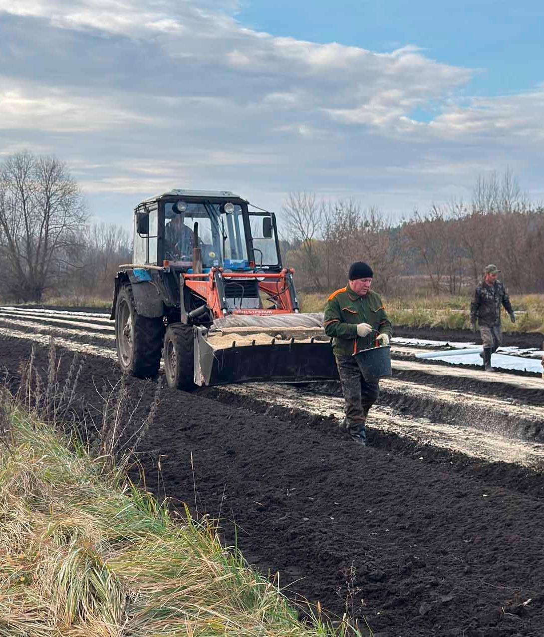 В&nbsp;Липецкой области перевыполнили план по&nbsp;посеву семян лесных культур