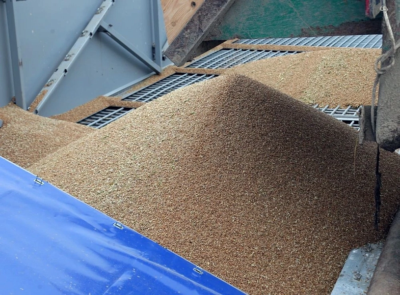 В&nbsp;Ленобласти увеличился экспорт кормов и&nbsp;добавок для&nbsp;животных