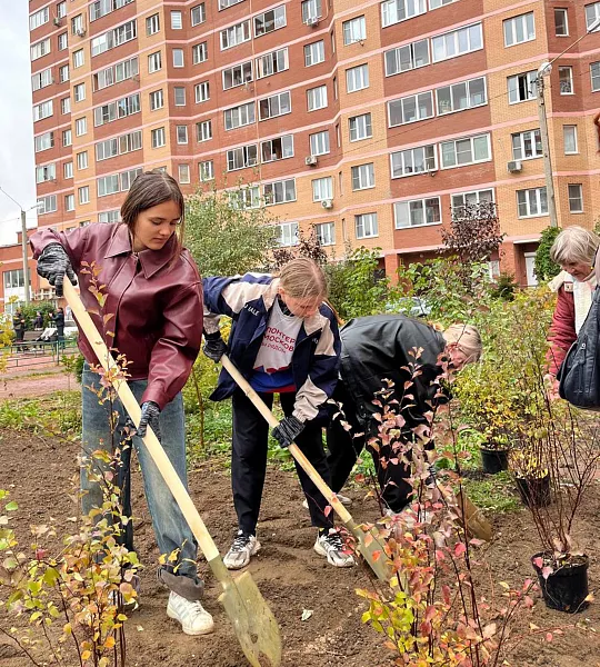 Участники экологической акции в&nbsp;подмосковной Лобне посадили 280&nbsp;кустарников