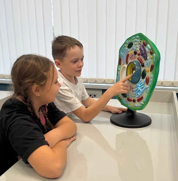 В&nbsp;школе села Новотроицкого в&nbsp;Мордовии появились два агротехкласса