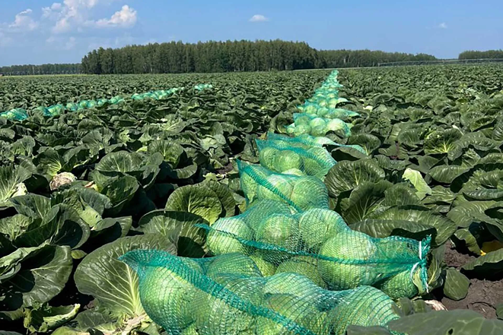 Департамент агропромышленного комплекса Тюменской области