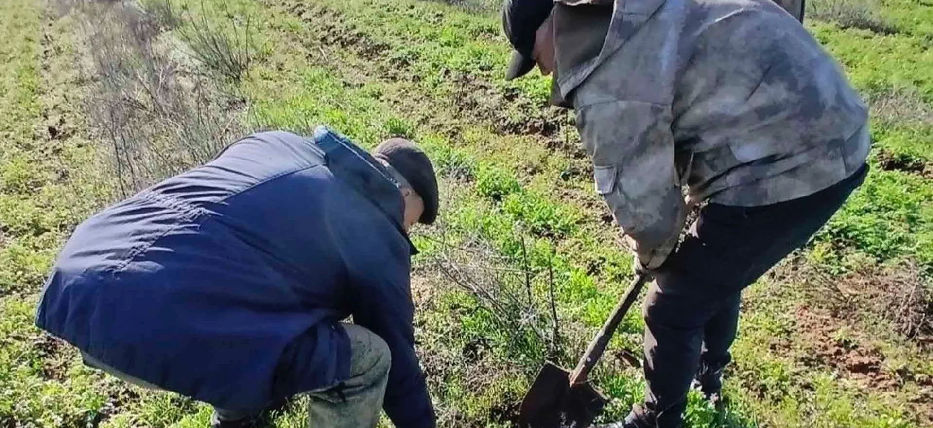 Служба природопользования и охраны окружающей среды Астраханской области