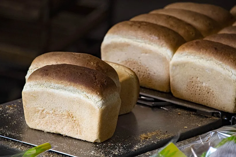 Дети из&nbsp;Оренбургской области посетили с&nbsp;экскурсией кувандыкскую пекарню