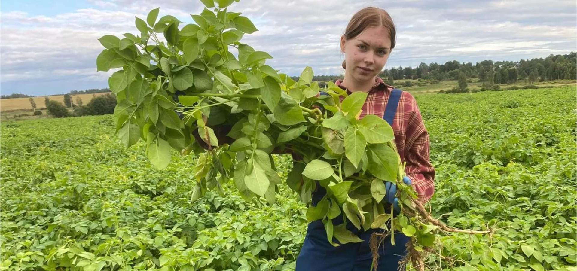 БУВ ВО "Череповецкая МежРайСББЖ"