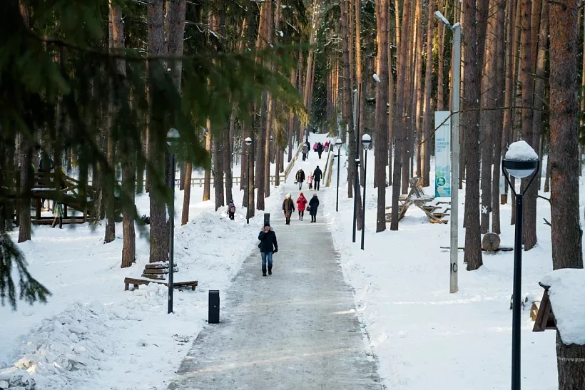 Общественное пространство &laquo;Ритм леса&raquo; открыли в&nbsp;удмуртском городе Воткинске