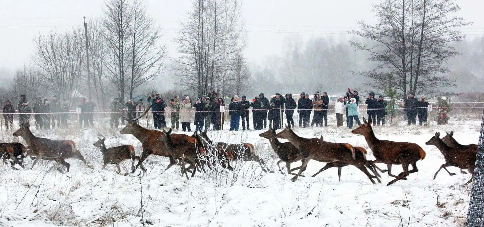 Администрация Моршанского района Тамбовской области