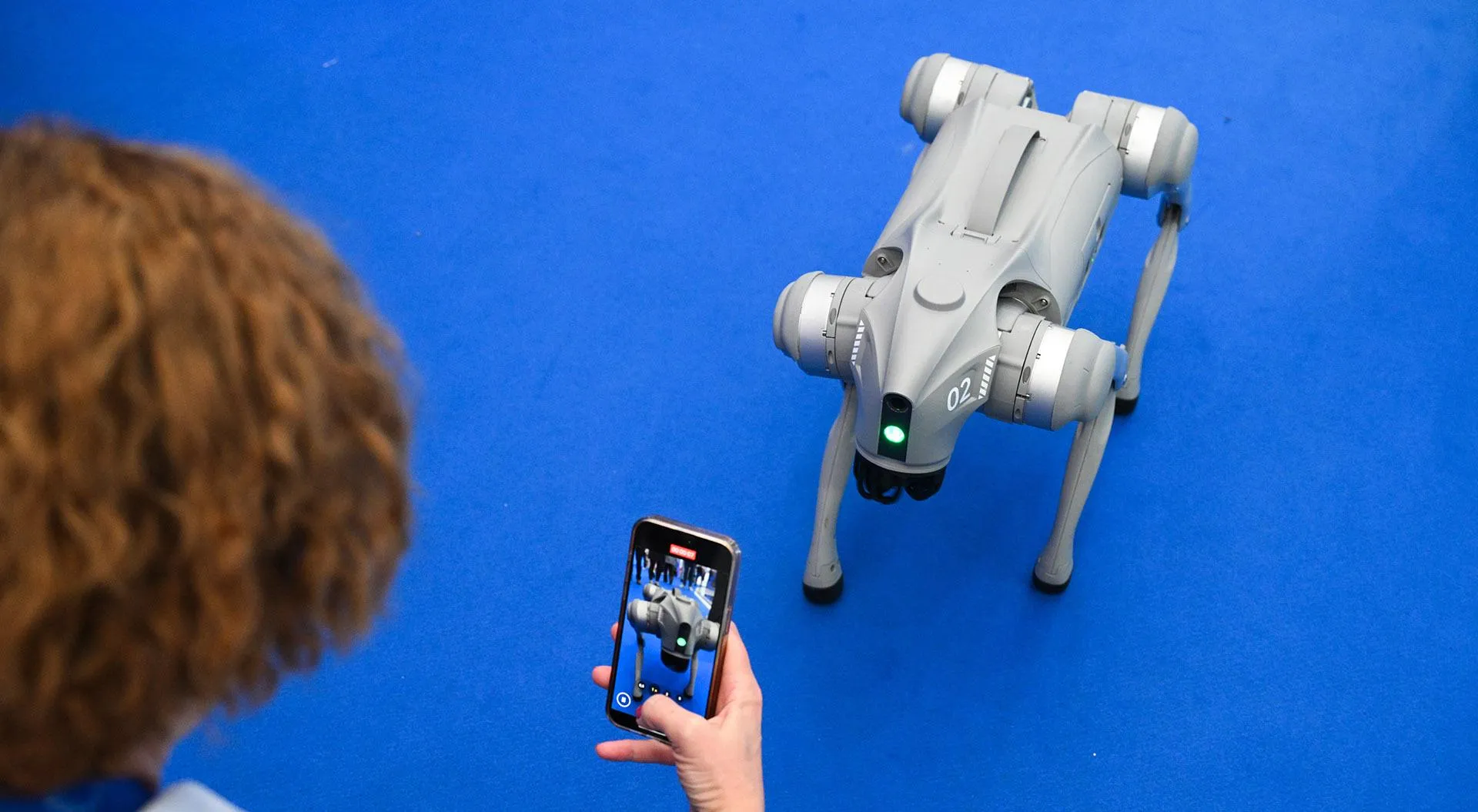 Александр Кряжев/РИА Новости 