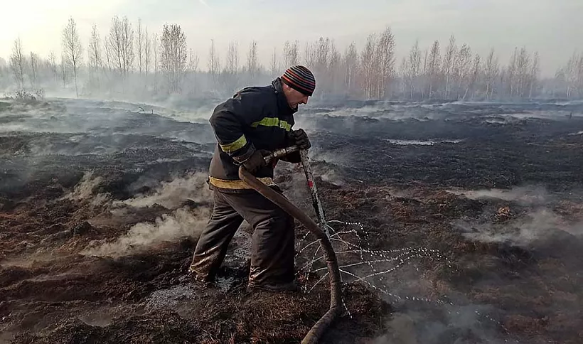 В&nbsp;Красноярском крае усилят меры по&nbsp;борьбе с&nbsp;лесными пожарами