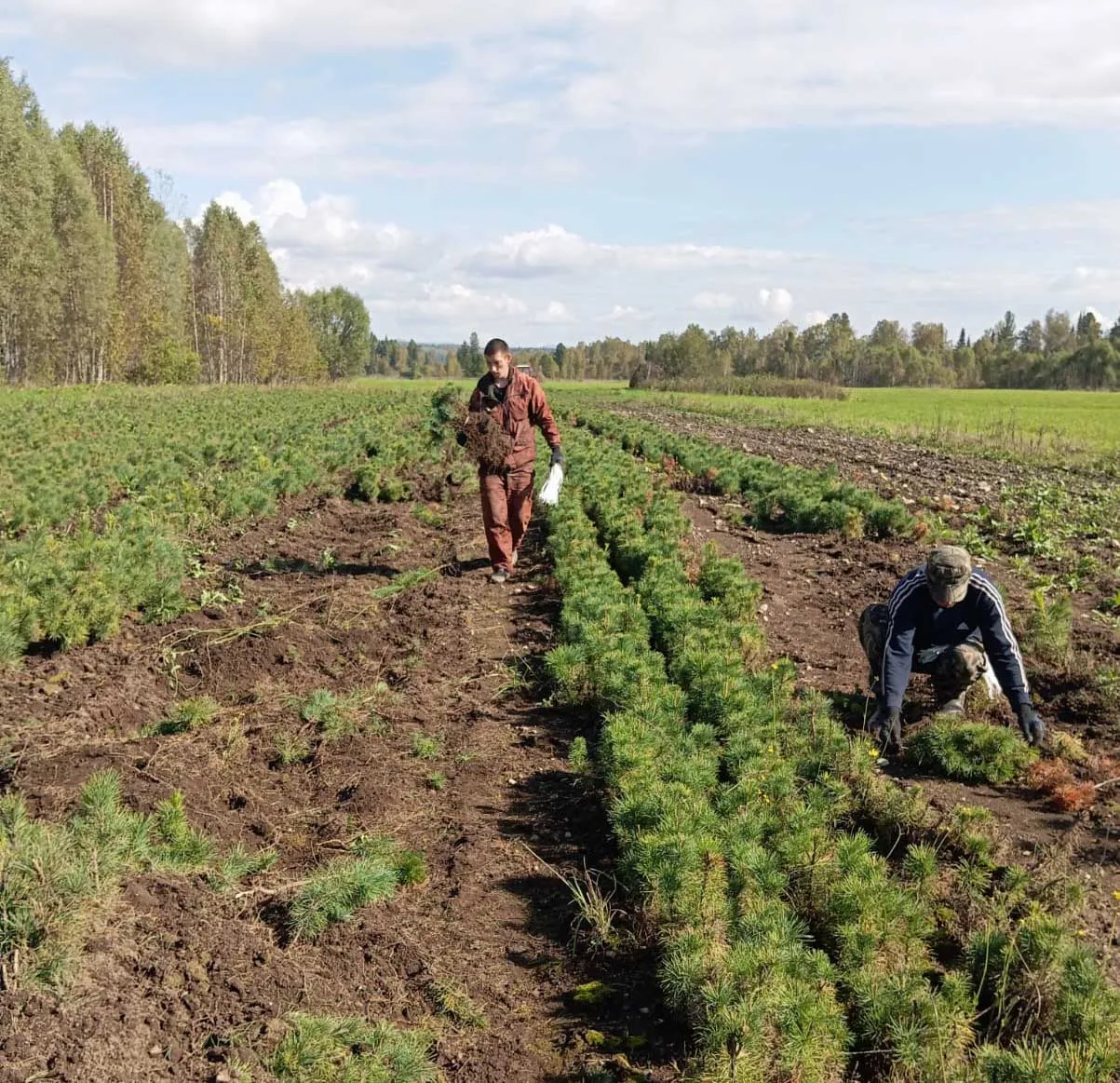 Министерство природных ресурсов, экологии и туризма Республики Алтай