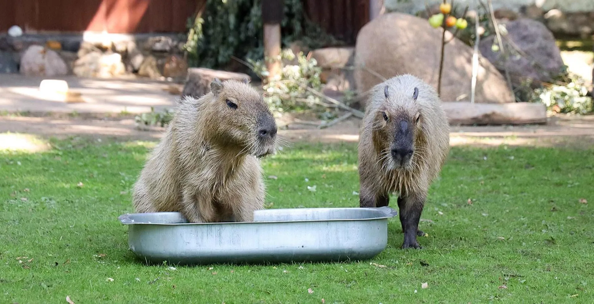 Департамент экономической политики и развития г. Москвы