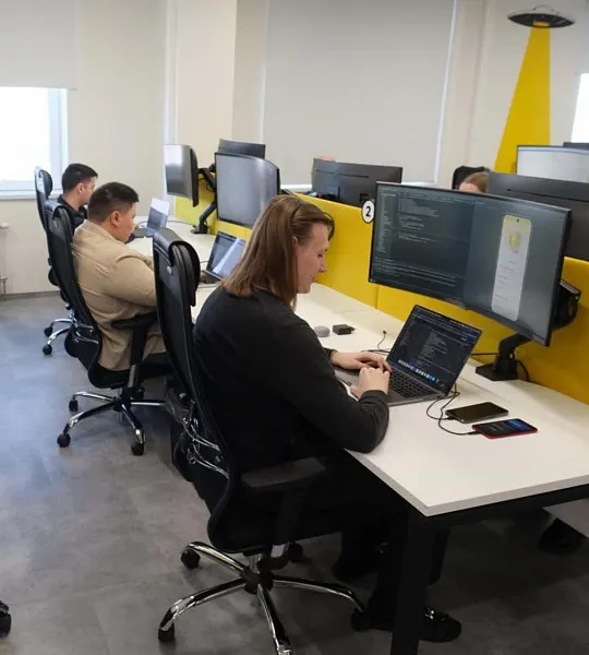 Новосибирская область вошла в&nbsp;топ-10&nbsp;регионов по&nbsp;цифровизации