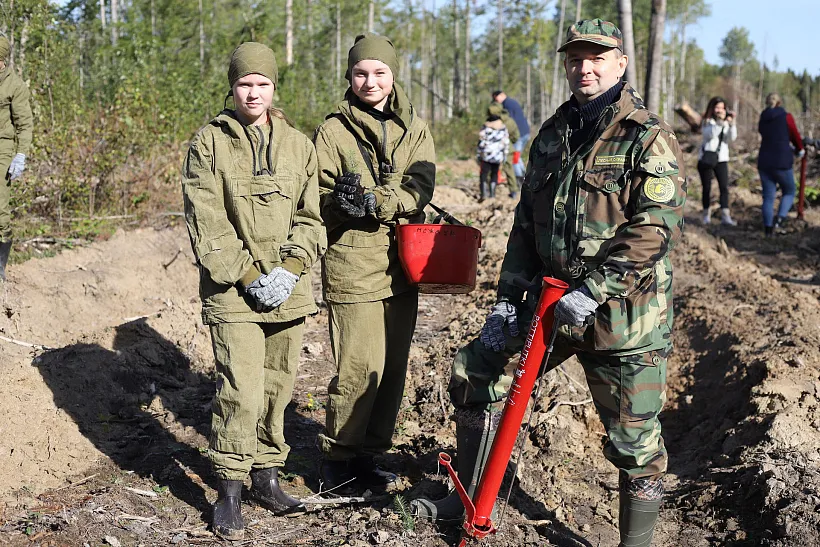 В&nbsp;Вологодской области в&nbsp;прошлом году высадили более 2&nbsp;миллионов деревьев