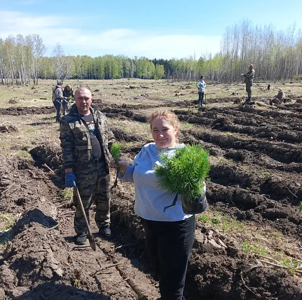В&nbsp;Большереченском районе Омской области высадили кедровый лес