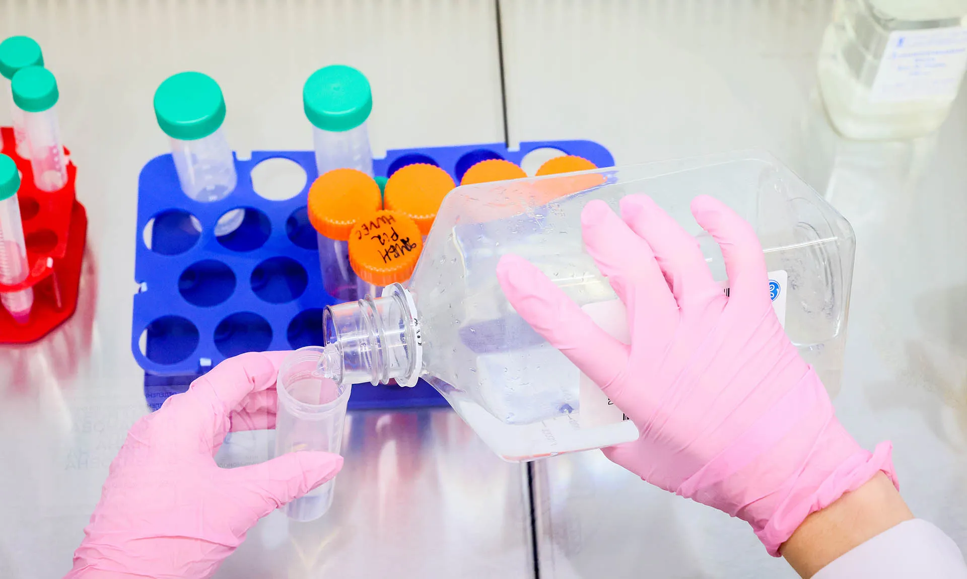 Александр Щербак/ТАСС