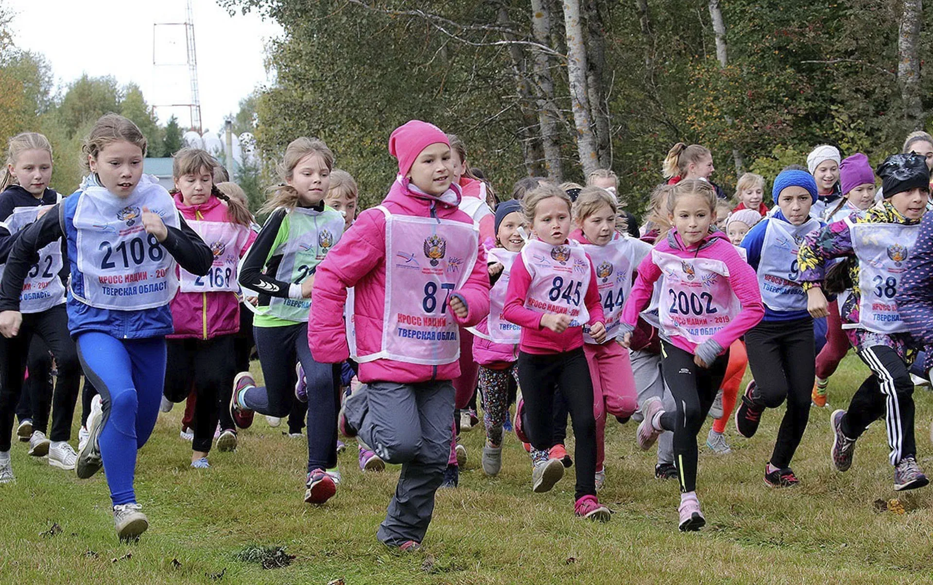 Аппарат Правительства Тверской области