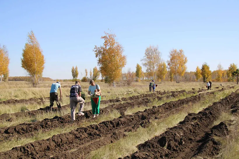 Экоакция &laquo;Сохраним лес&raquo; прошла в&nbsp;13&nbsp;районах Омской области в&nbsp;этом году
