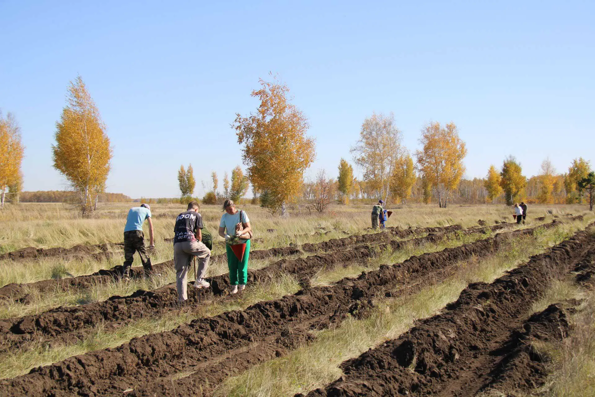  Главное управление лесного хозяйства Омской области