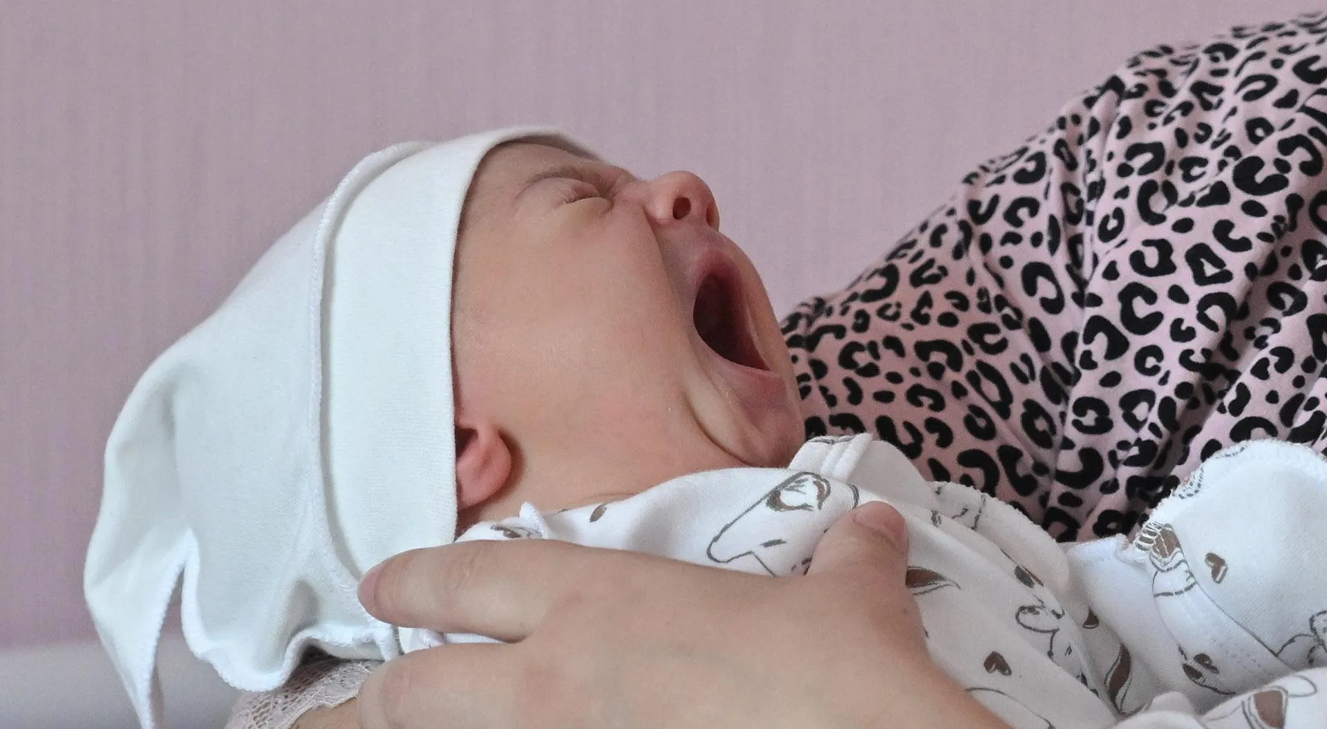 Константин Михальчевский/РИА Новости 