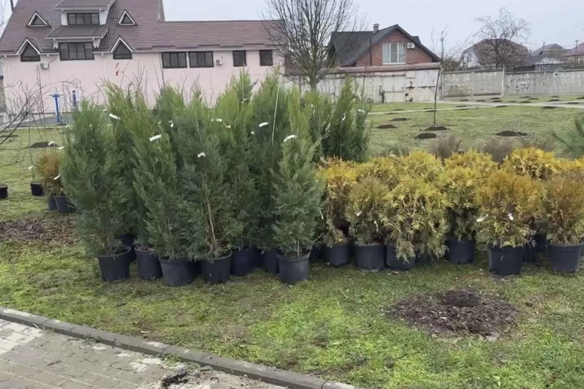 Администрация МО Тимашевский район