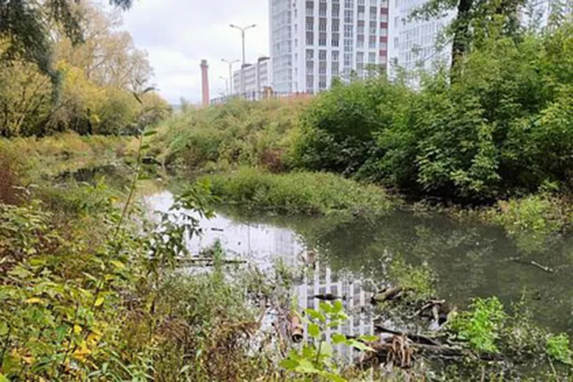 В&nbsp;Нижнем Новгороде расчистят русло реки Борзовки