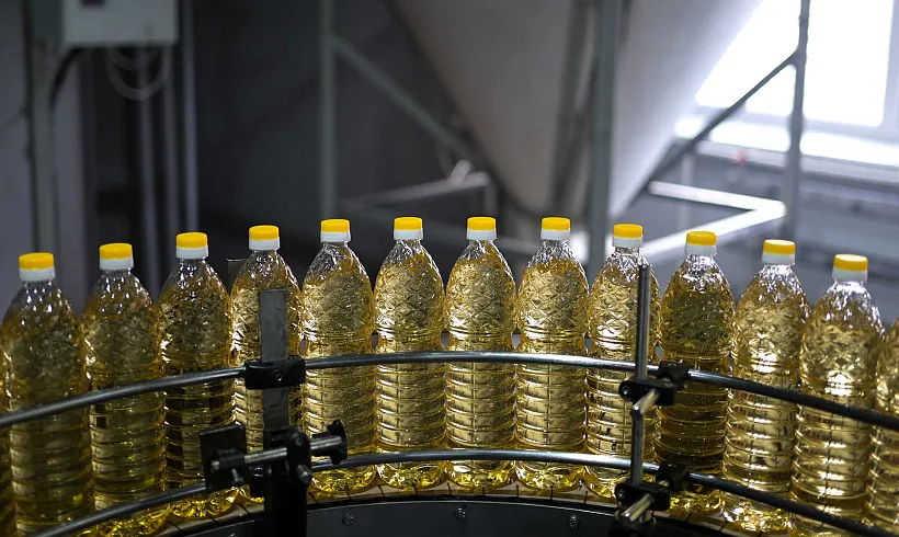 Воронежская область запустит программу по&nbsp;развитию агроэкспорта