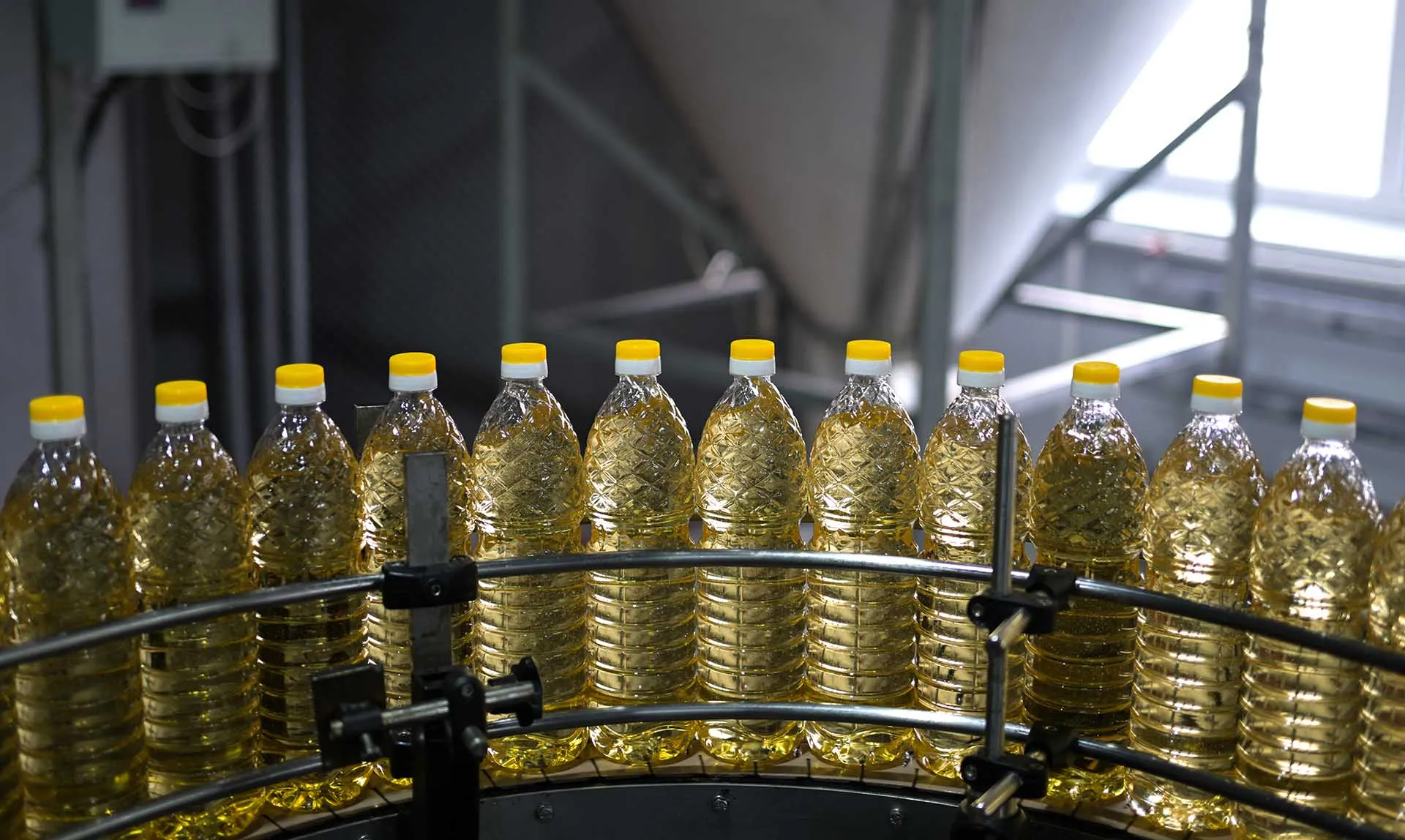 Александр Кряжев/РИА Новости