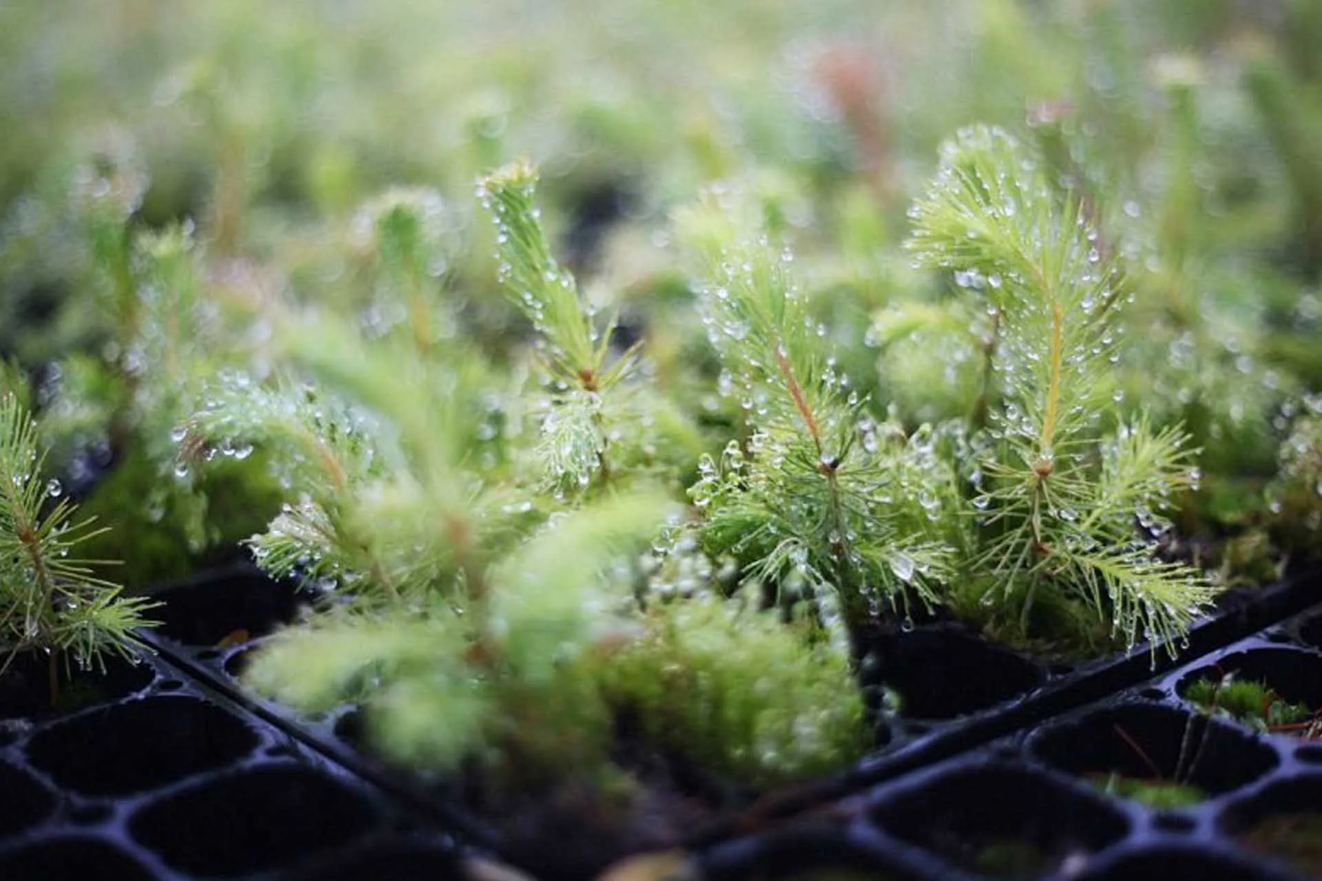 Министерство экономического развития и промышленности Архангельской области