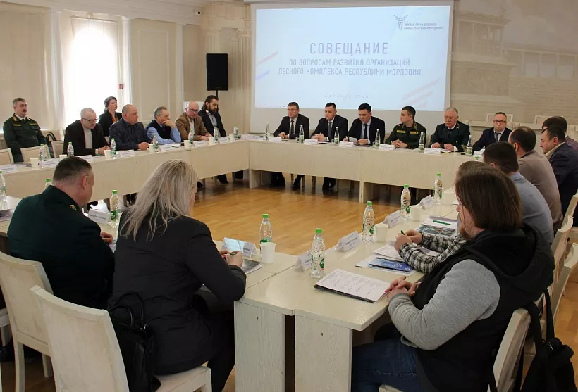 В&nbsp;Мордовии представили меры финансовой поддержки лесного комплекса региона