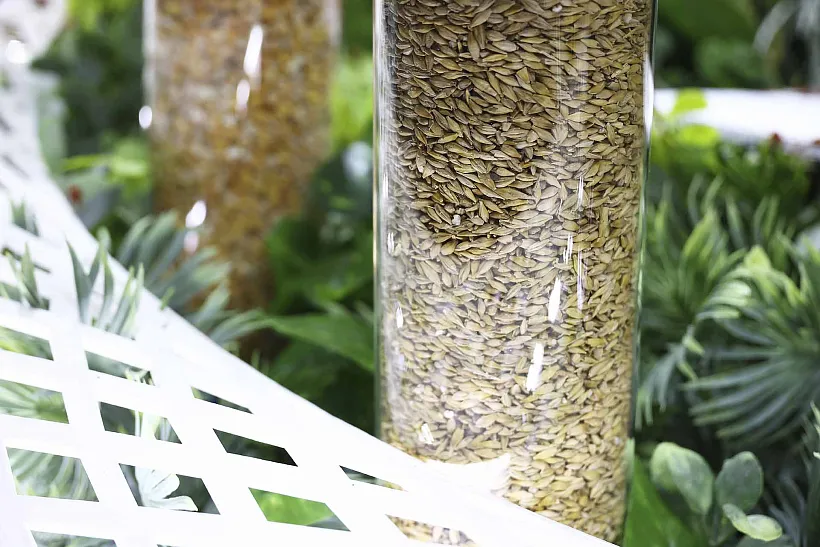 Аграриев из&nbsp;Северной Осетии приглашают на&nbsp;Всероссийский зерновой форум