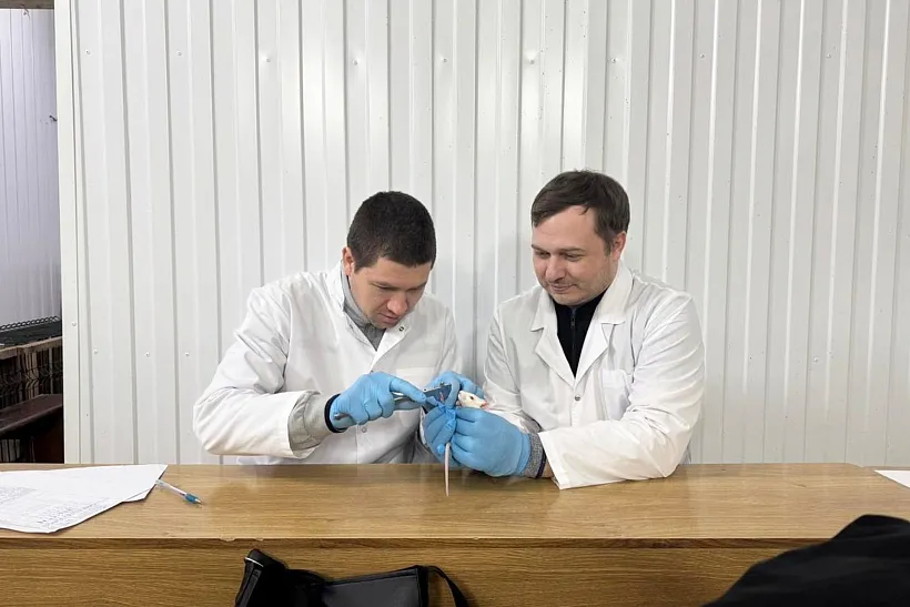 Пензенские ученые создали новый противовоспалительный гель