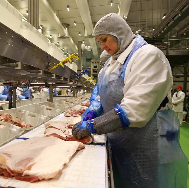 Воронежский завод будет поставлять мясопродукцию в&nbsp;страны Африки и&nbsp;Азии