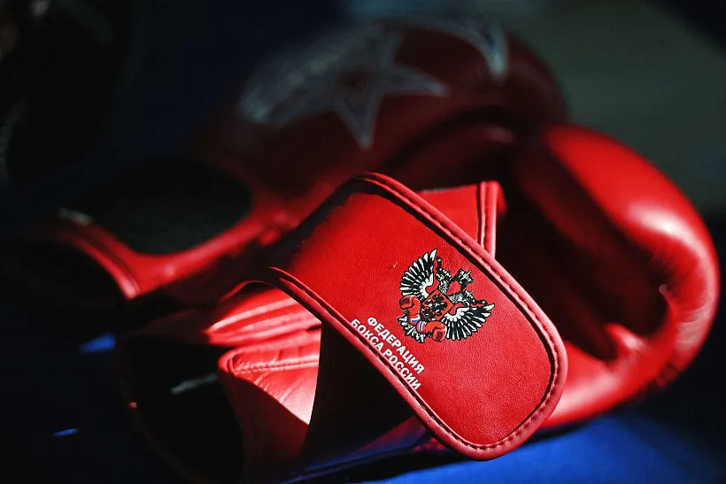 В&nbsp;Курске пройдет первенство Центрального федерального округа по&nbsp;боксу