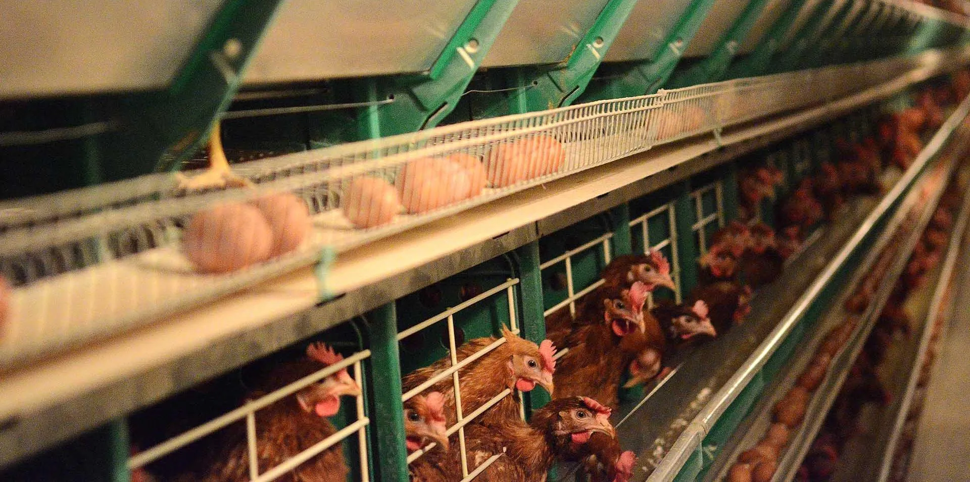 Управление массовых коммуникаций Кировской области