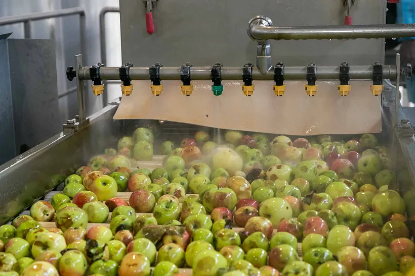 В&nbsp;Волгоградской области за&nbsp;год собрали более 150&nbsp;тысяч тонн плодов и&nbsp;ягод