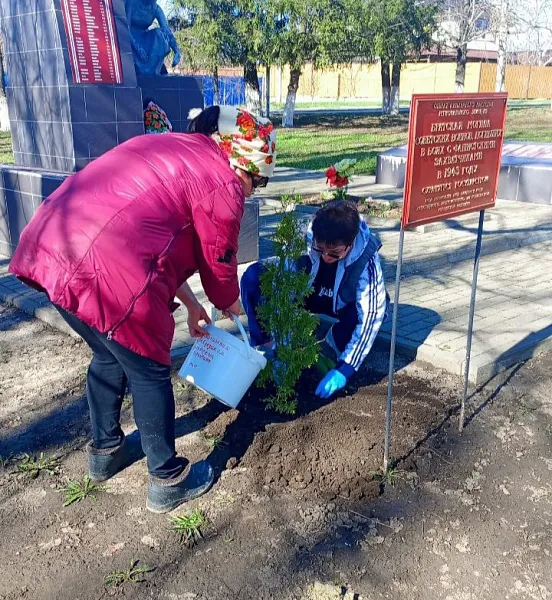 В&nbsp;Шебекинском округе Белгородской области прошла акция &laquo;Сад памяти&raquo;