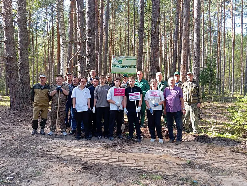 В&nbsp;лесничествах Владимирской области прошли субботники