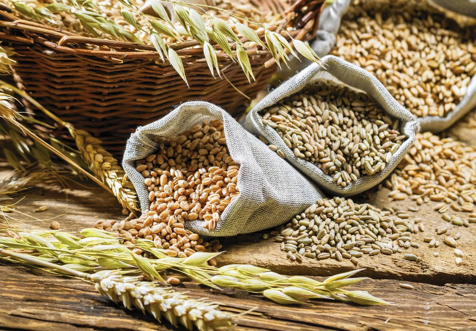 Министерство сельского хозяйства Курской области