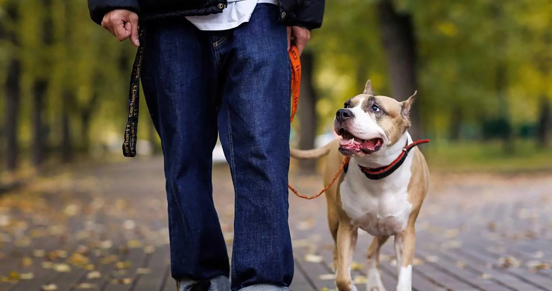 Министерство информации и молодежной политики Московской области