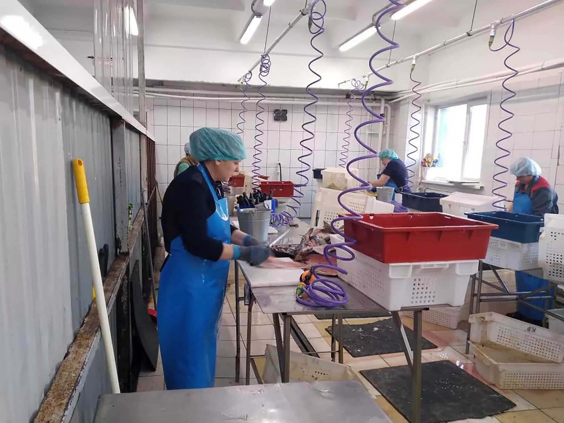 Региональный центр компетенций Новосибирской области