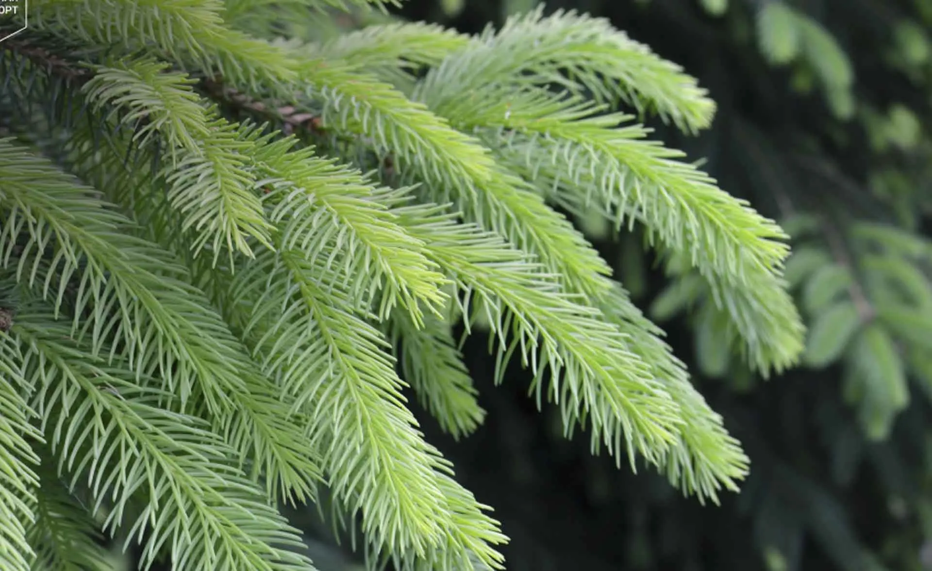 Министерство экономического развития и инвестиций Пермского края