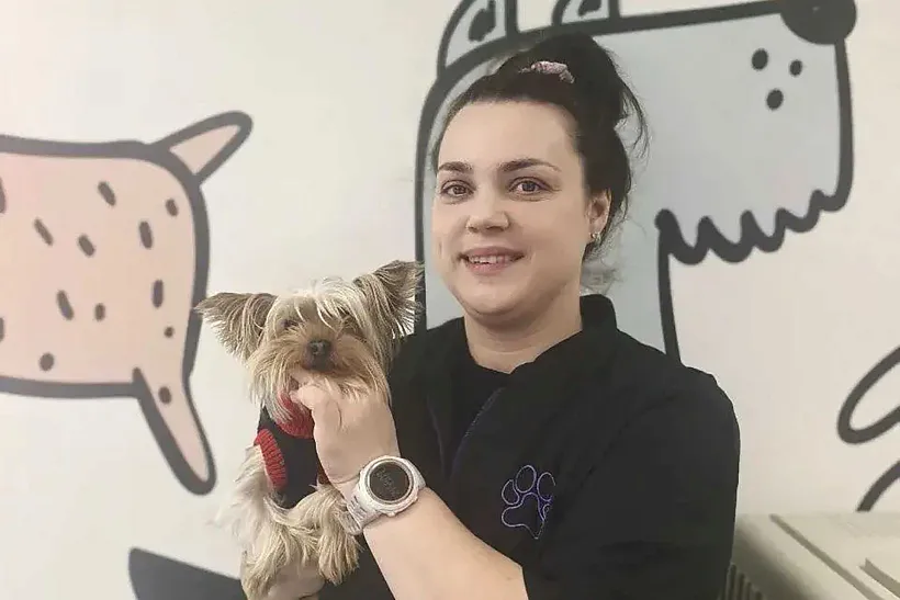 Многодетная мама из&nbsp;Кузбасса открыла студию груминга по&nbsp;соцконтракту