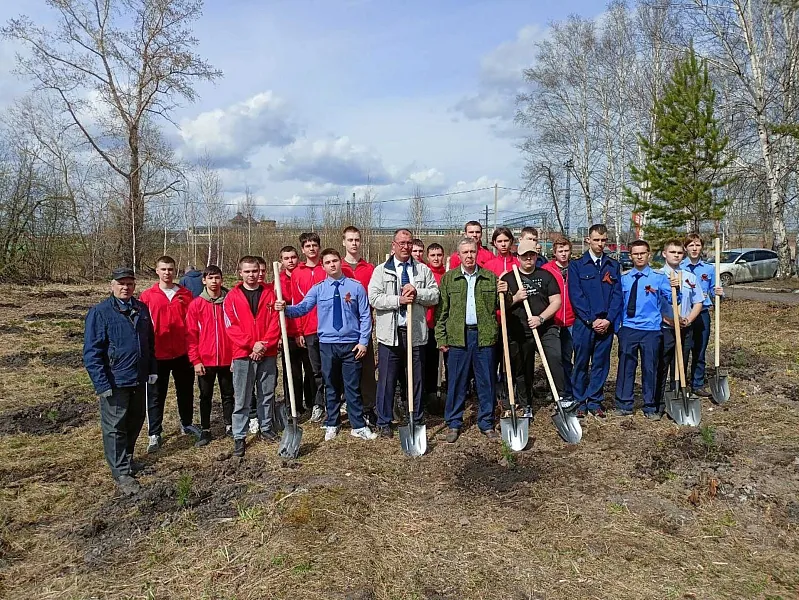 В&nbsp;городе Тайга в&nbsp;Кузбассе высадили более 100&nbsp;саженцев кедра