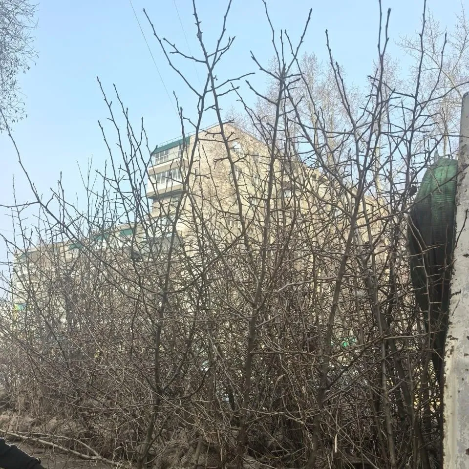 ОГКУ "Томскавтодор"