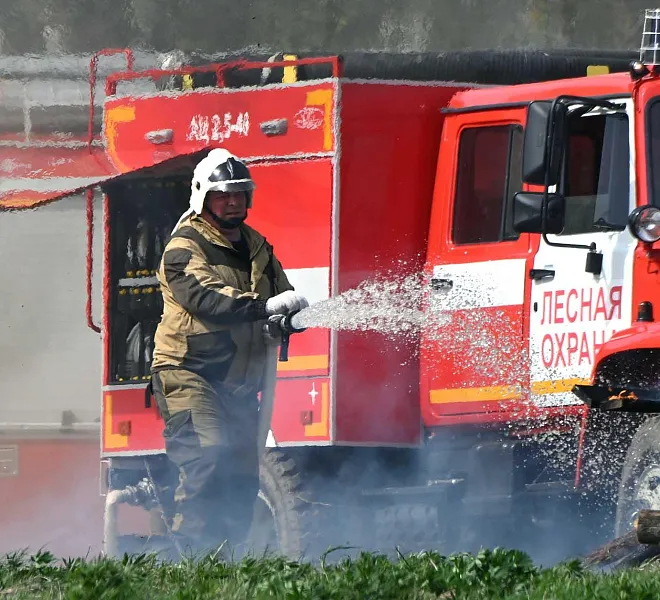 Во&nbsp;Владимирской области прошли учения по&nbsp;тушению лесных пожаров