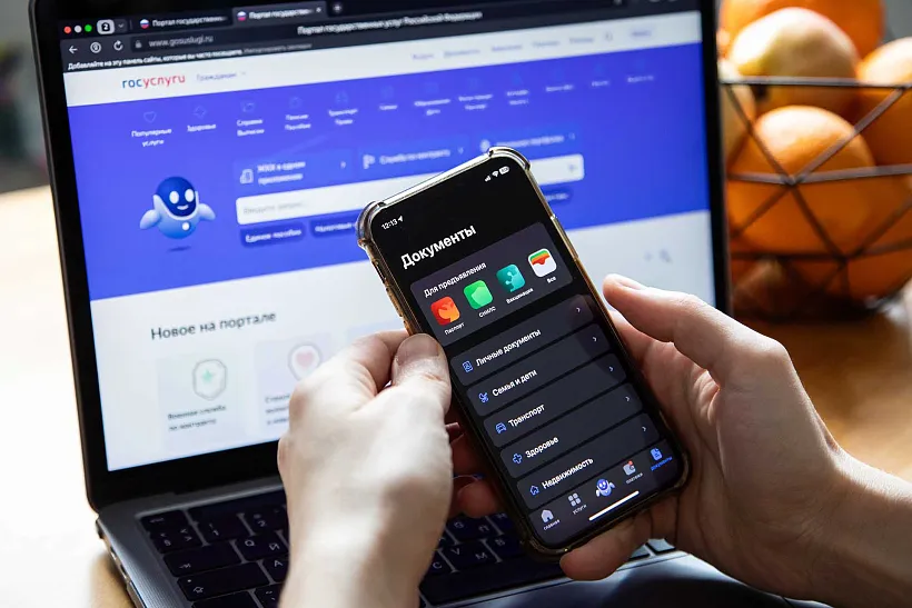 В&nbsp;несколько кликов: как&nbsp;работают &laquo;Жизненные ситуации&raquo; на&nbsp;&laquo;Госуслугах&raquo;