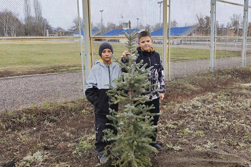 В&nbsp;городе Кувандыке Оренбургской области высадили 18&nbsp;голубых елей