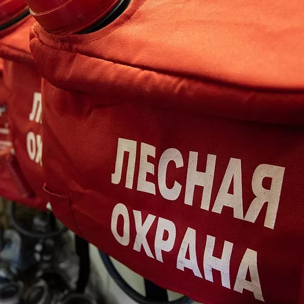 Орловским лесникам купят шесть мотовездеходов